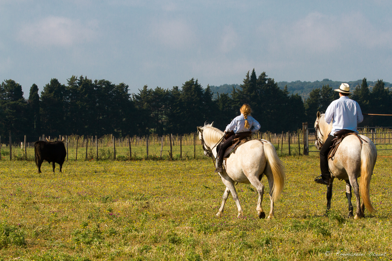 2013 06 Carmargue 609