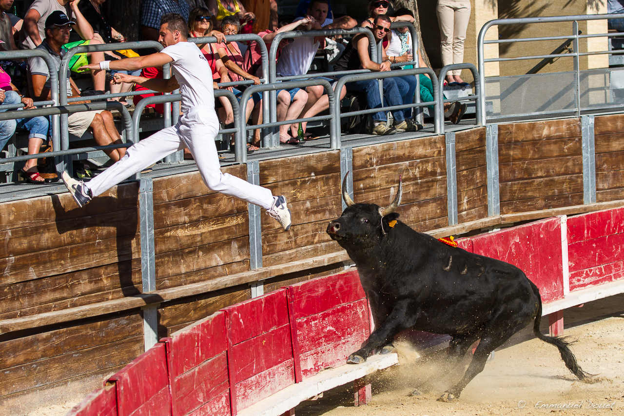 2013 06 Carmargue 866