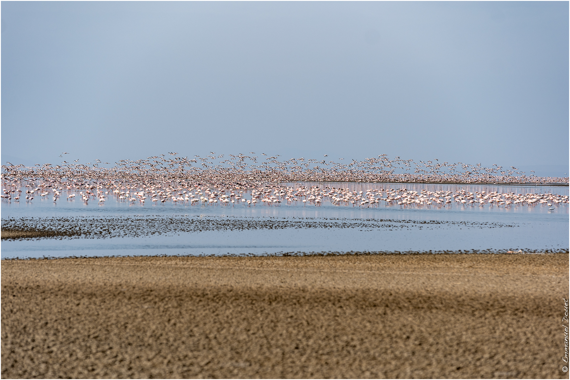 2022 07 Tanzanie 111