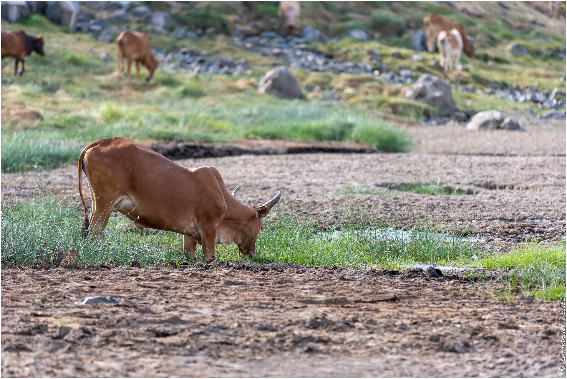 2022 07 Tanzanie 112