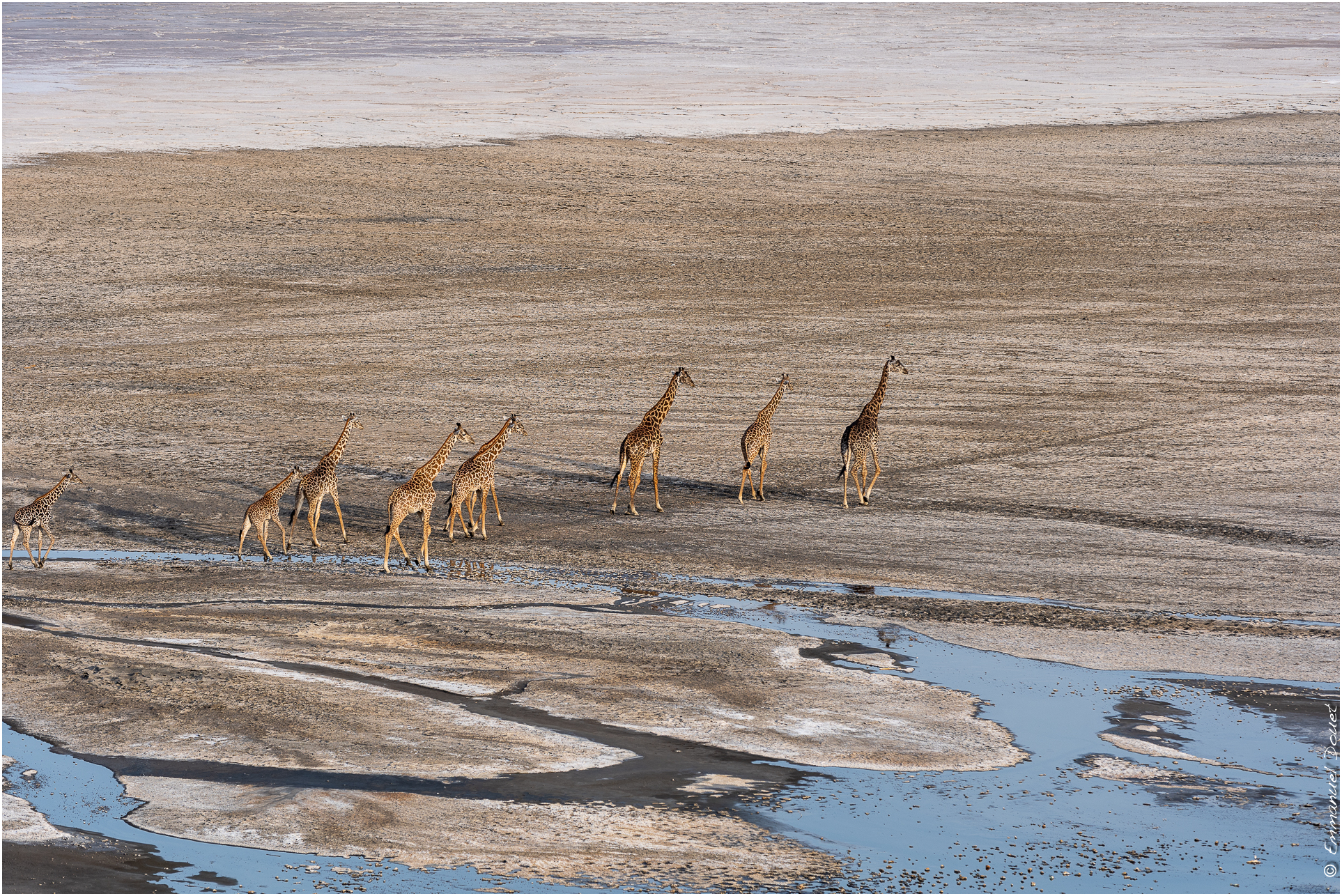 2022 07 Tanzanie 146