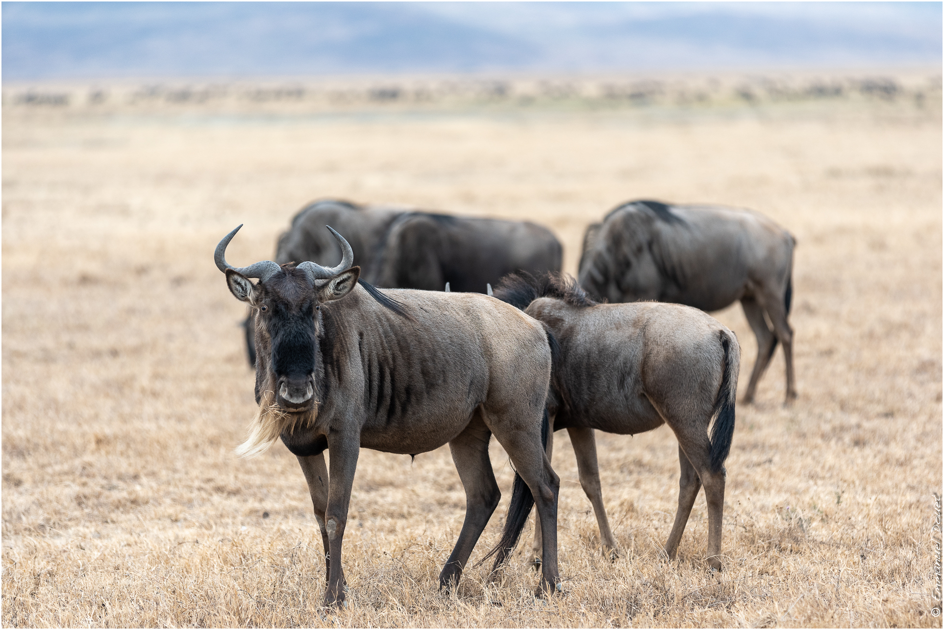 2022 07 Tanzanie 174