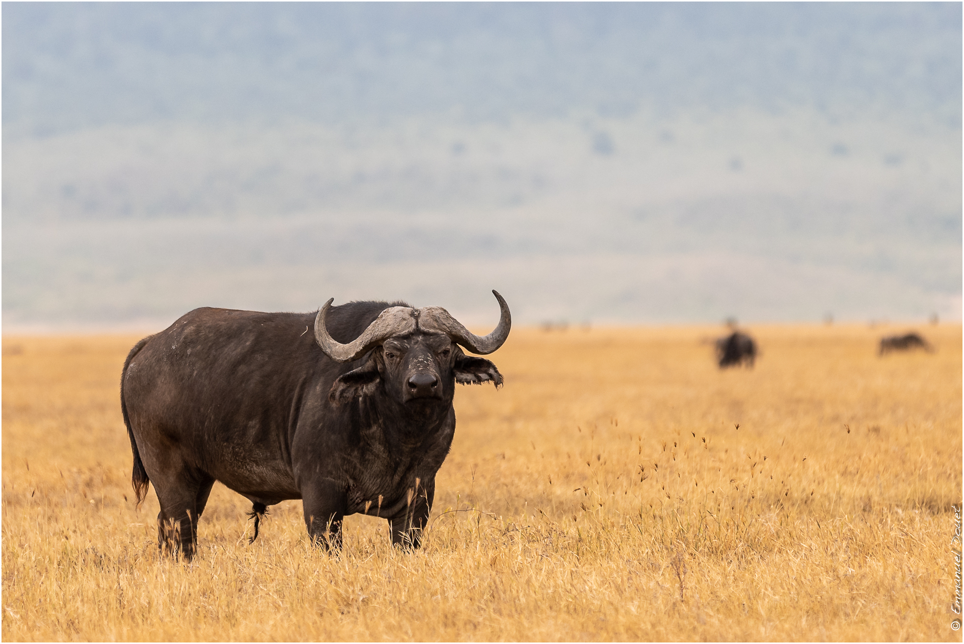 2022 07 Tanzanie 179