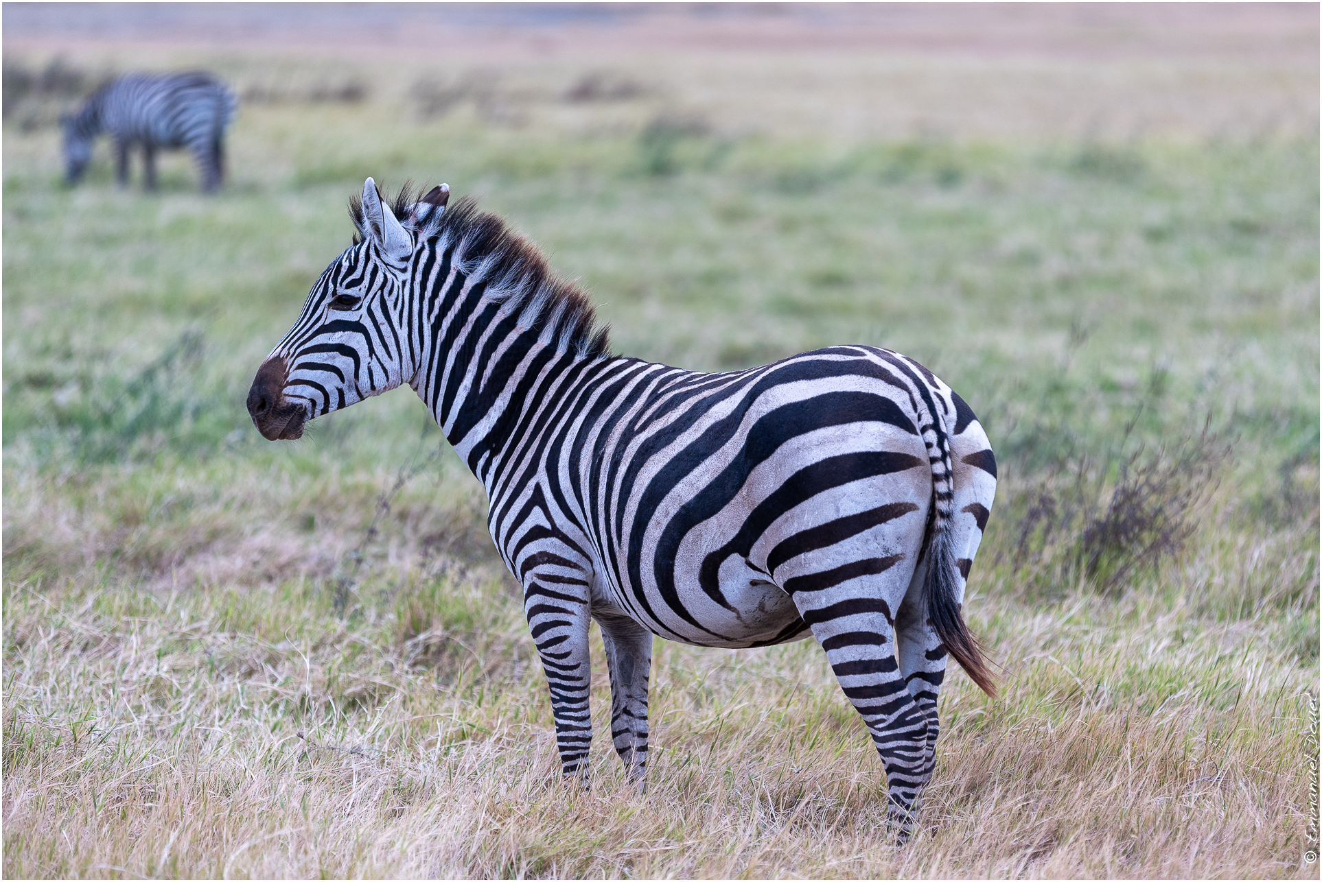 2022 07 Tanzanie 180