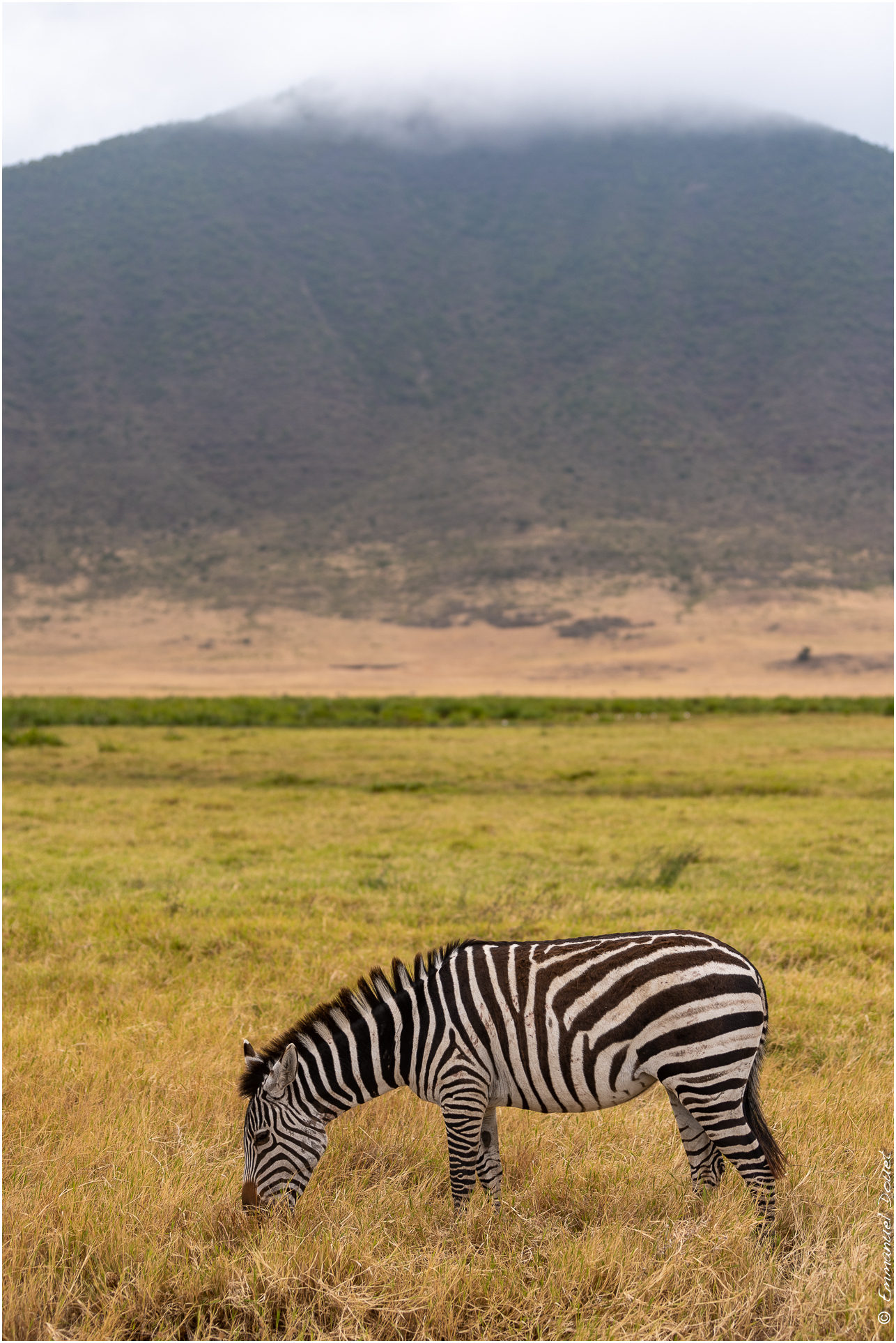 2022 07 Tanzanie 181