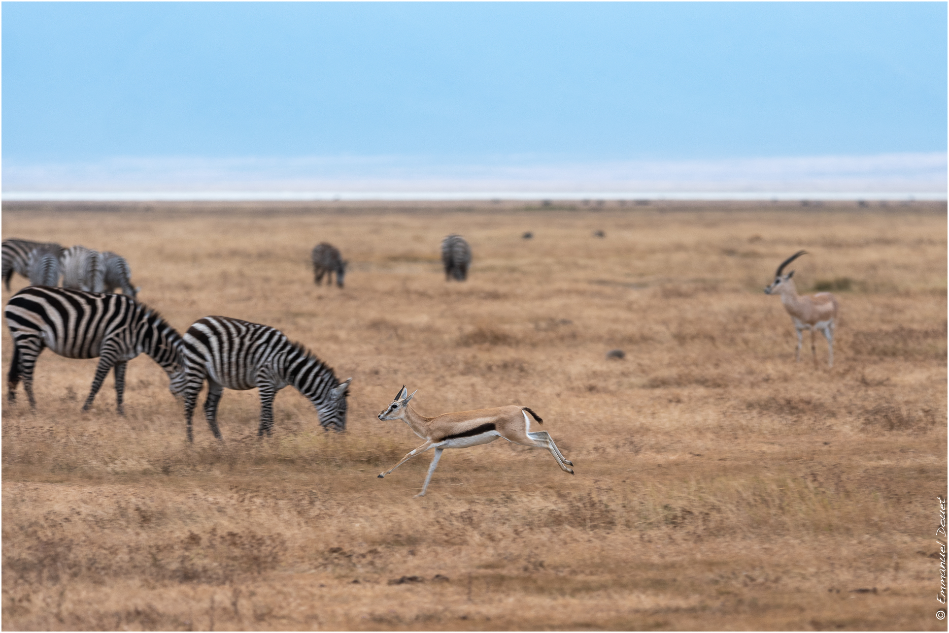 2022 07 Tanzanie 182