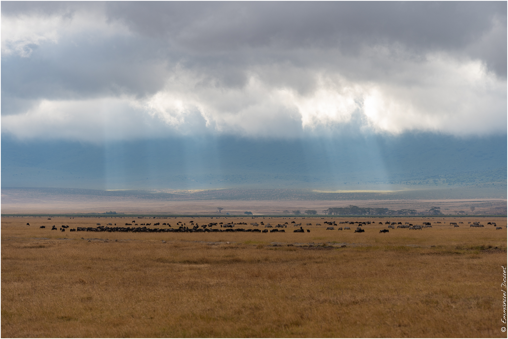 2022 07 Tanzanie 185