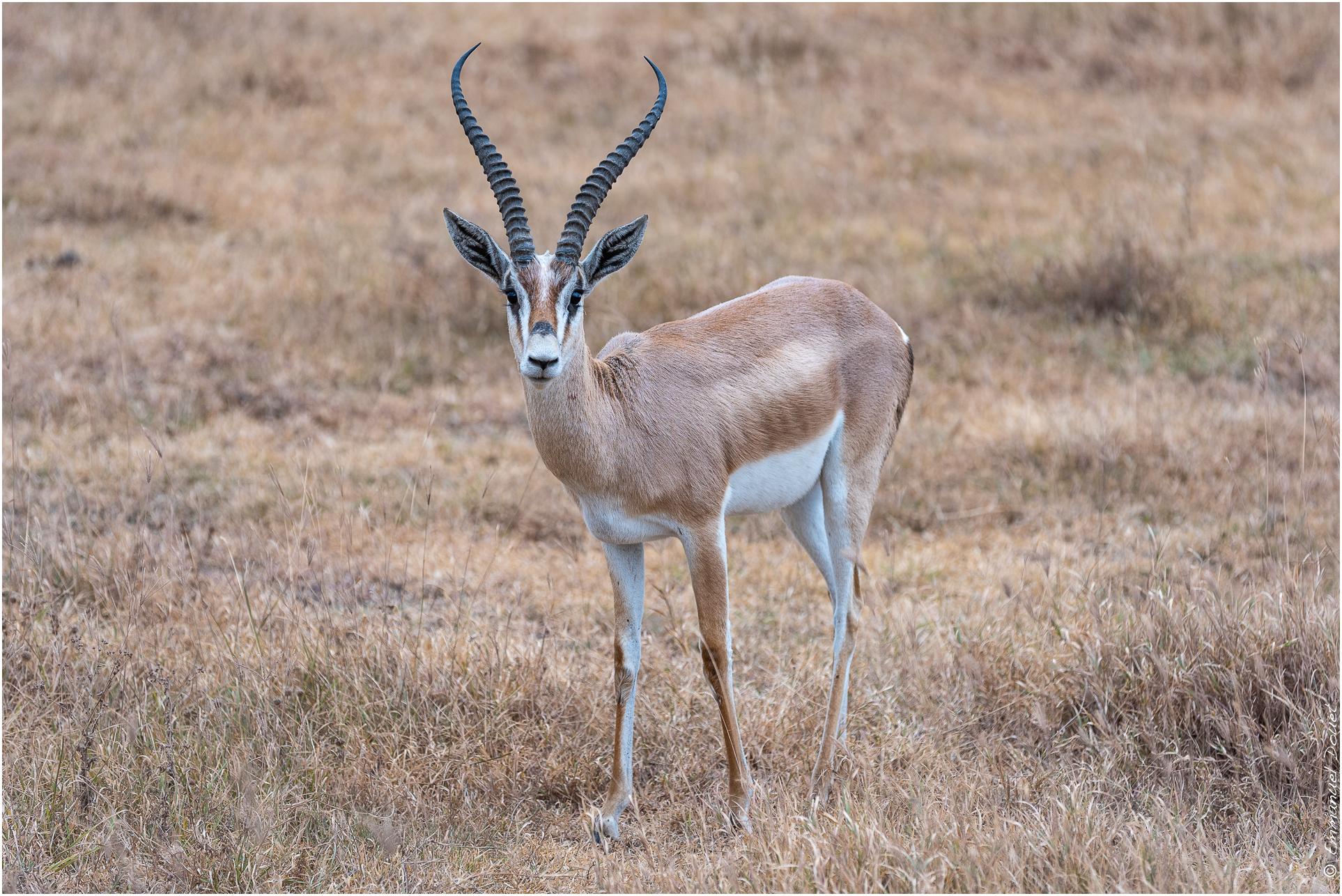 2022 07 Tanzanie 186