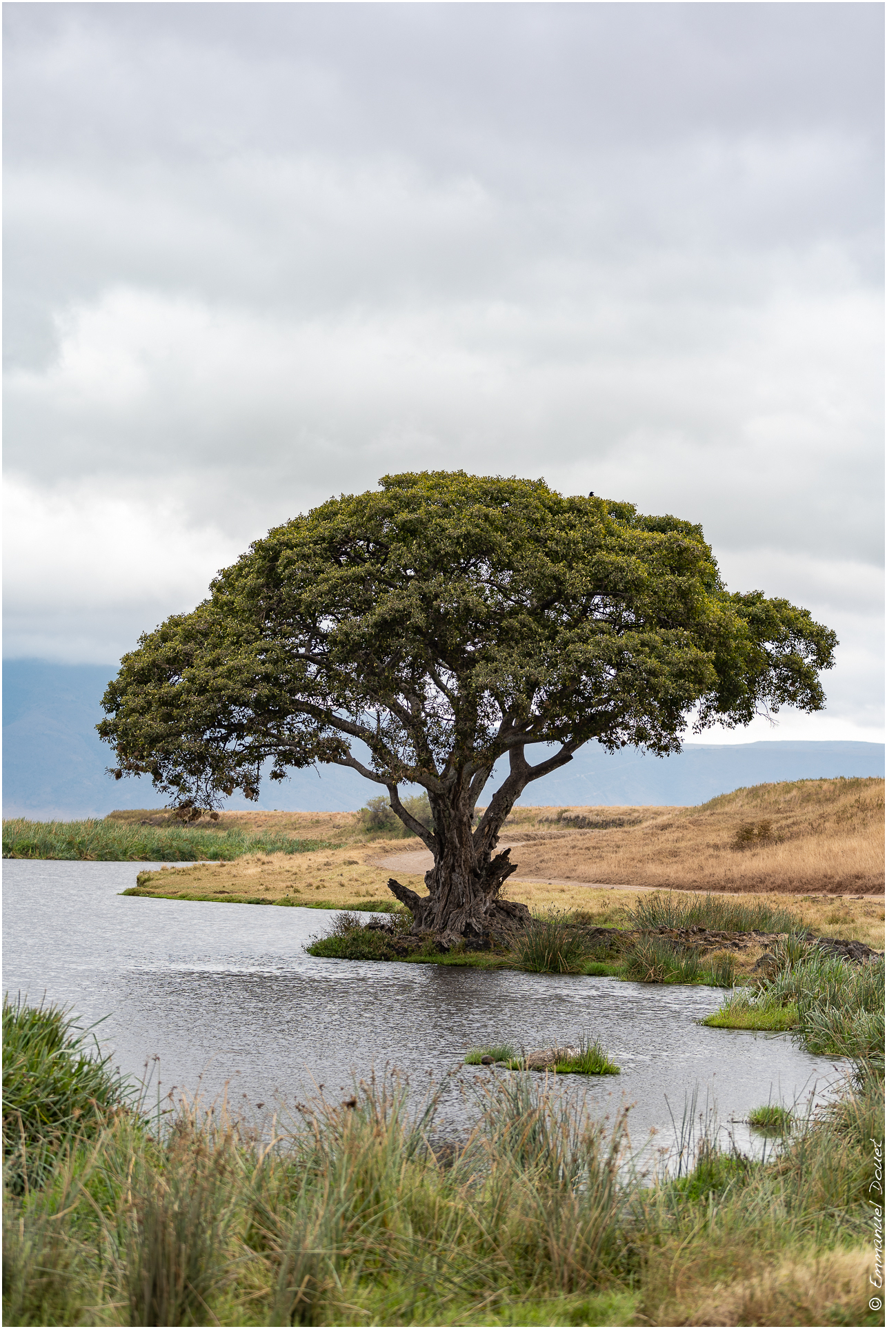 2022 07 Tanzanie 194