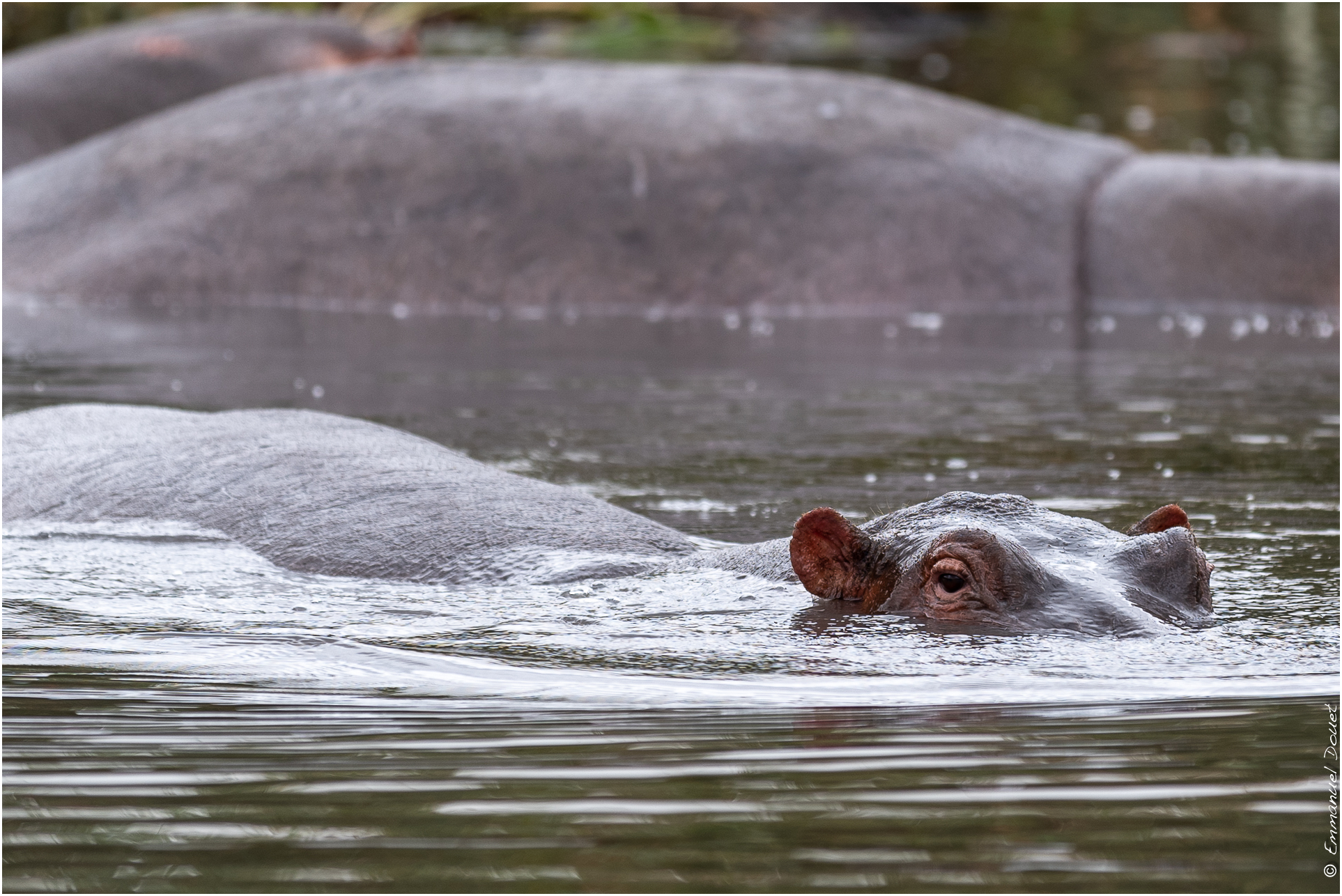 2022 07 Tanzanie 197