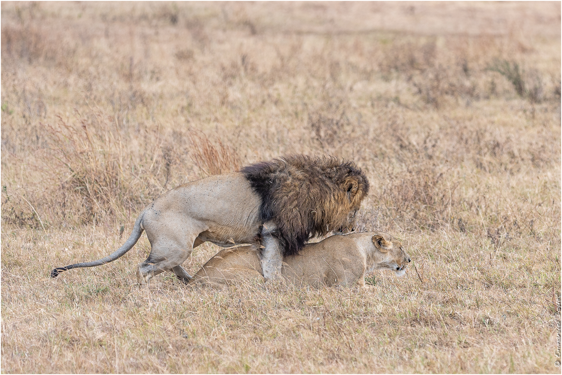 2022 07 Tanzanie 209