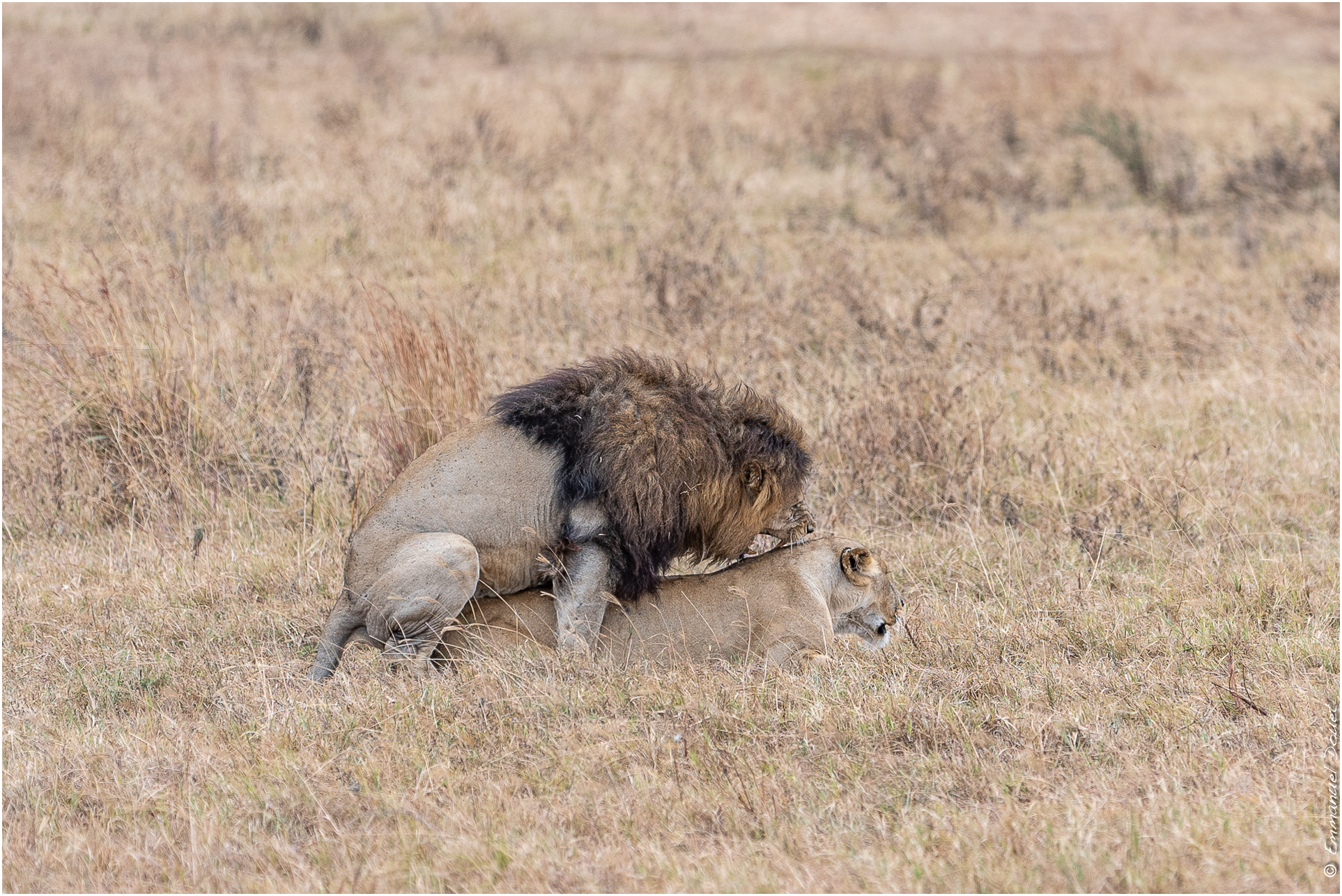 2022 07 Tanzanie 213