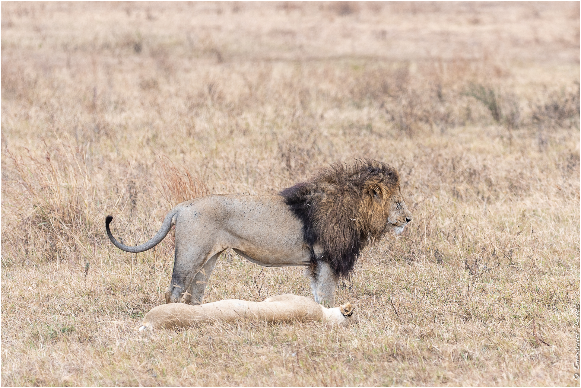 2022 07 Tanzanie 216