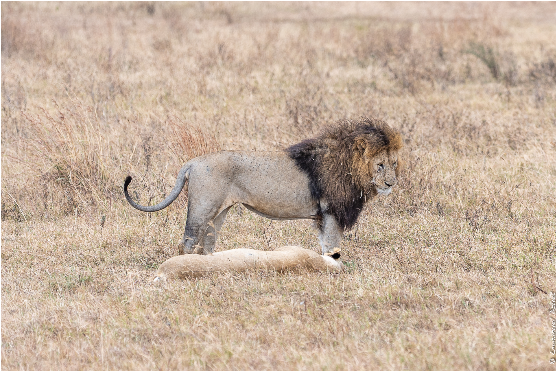 2022 07 Tanzanie 217