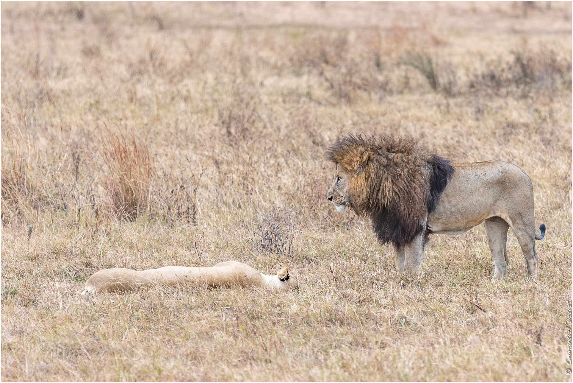 2022 07 Tanzanie 220