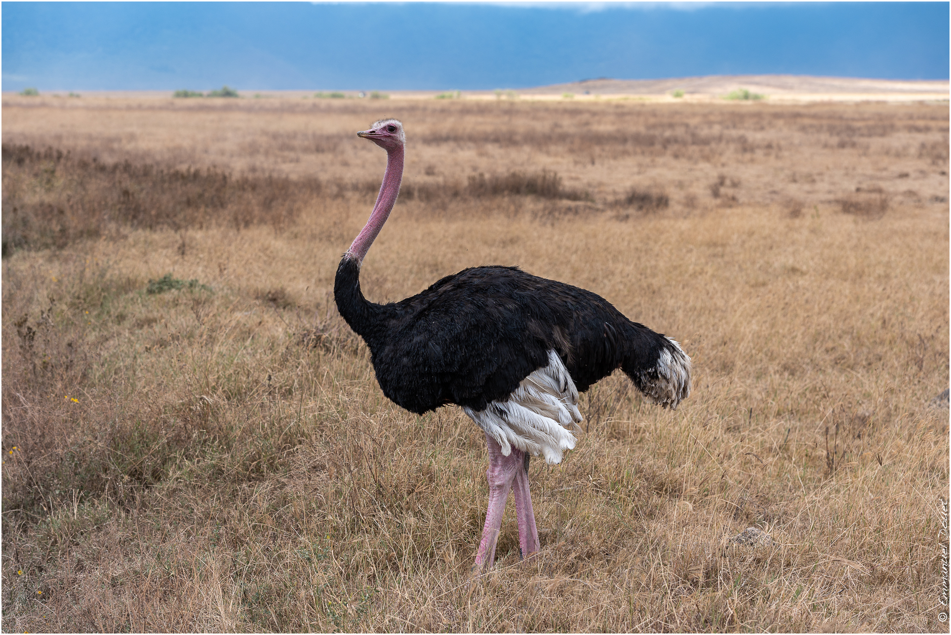 2022 07 Tanzanie 225