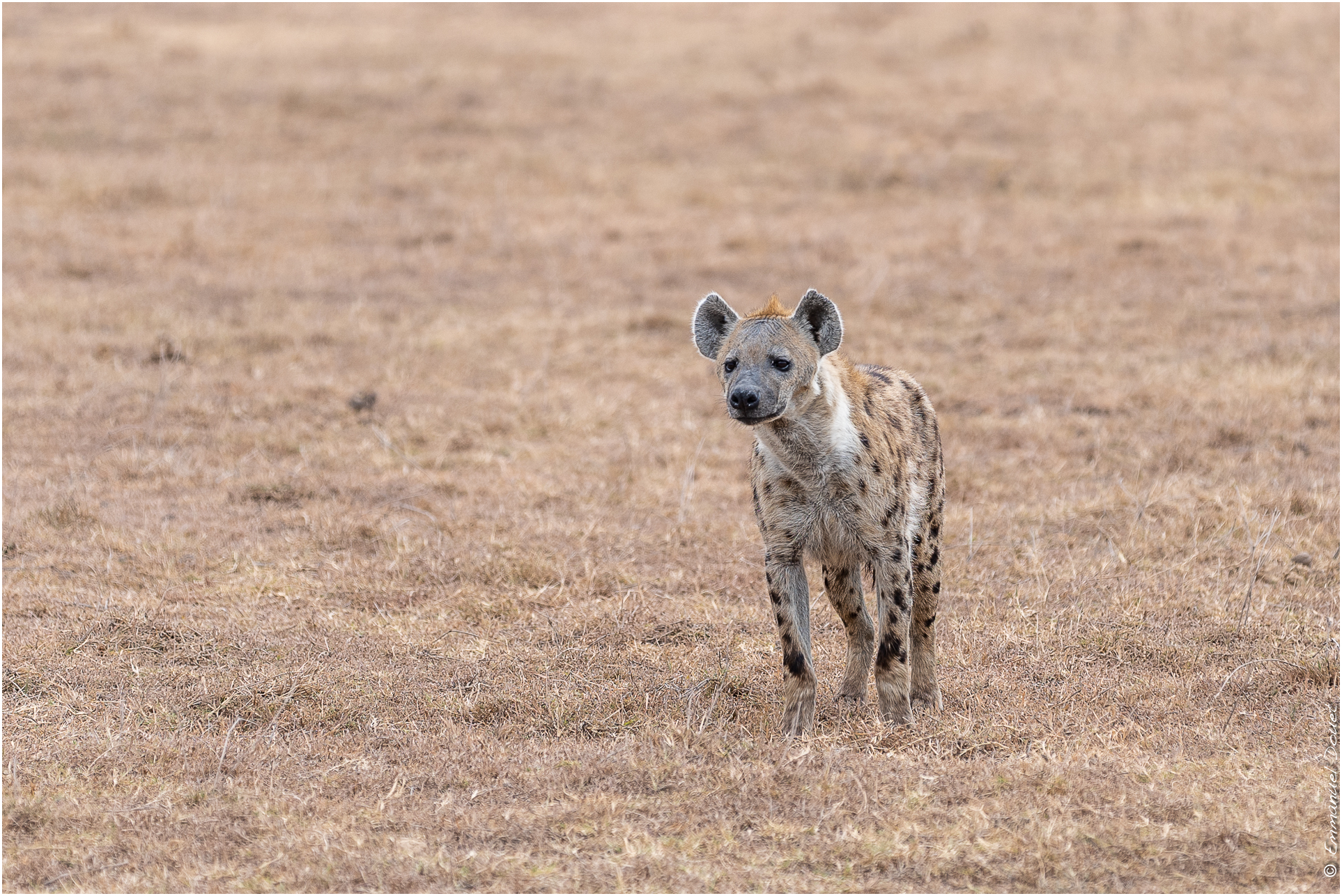 2022 07 Tanzanie 227