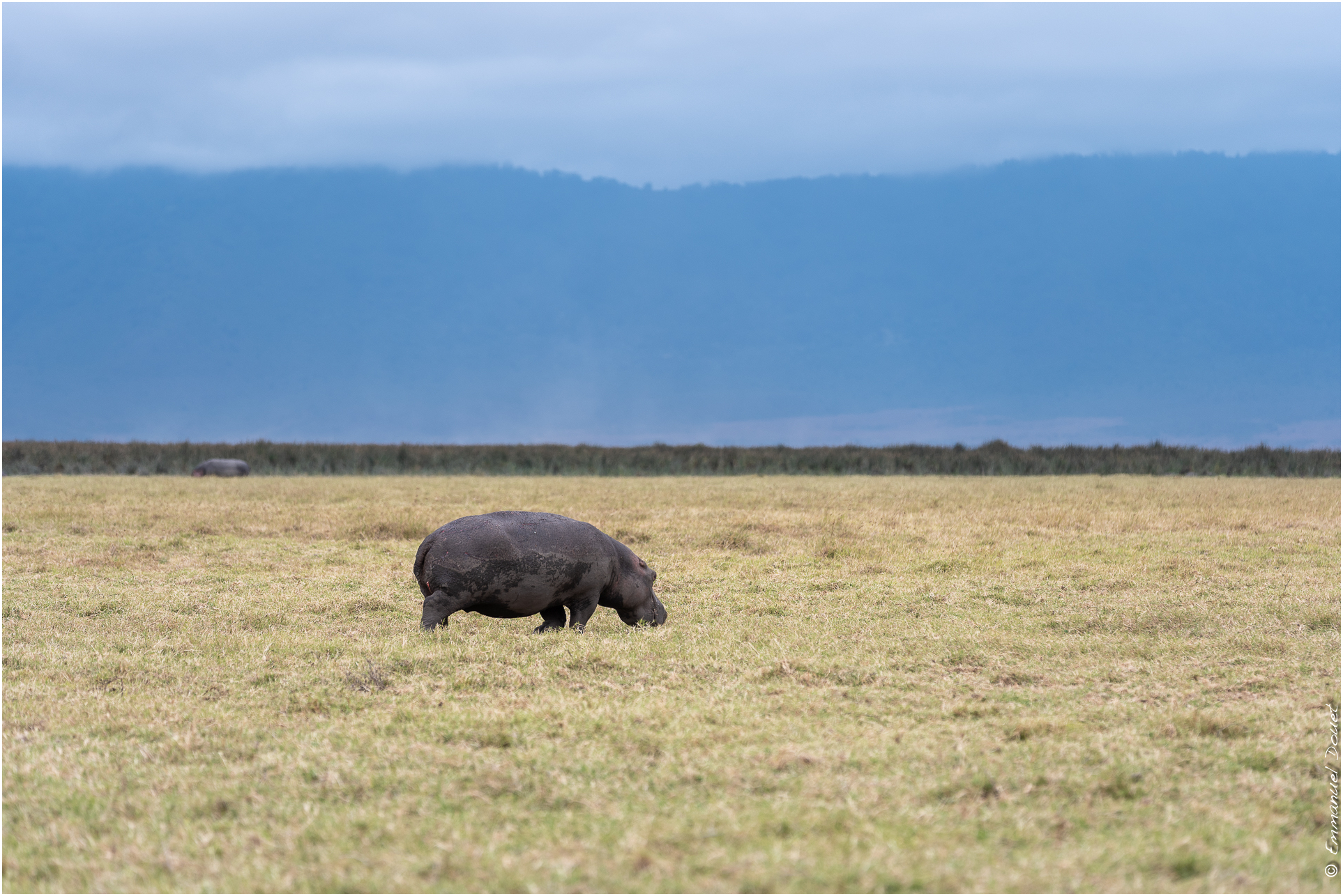 2022 07 Tanzanie 230