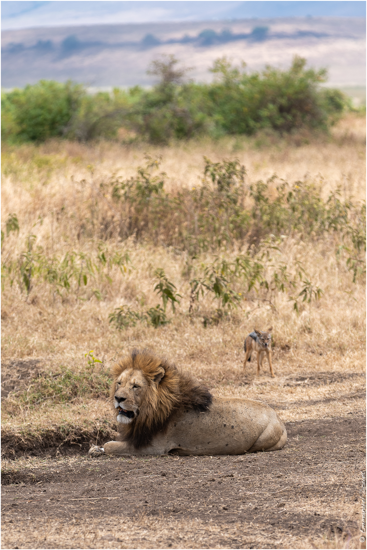 2022 07 Tanzanie 231