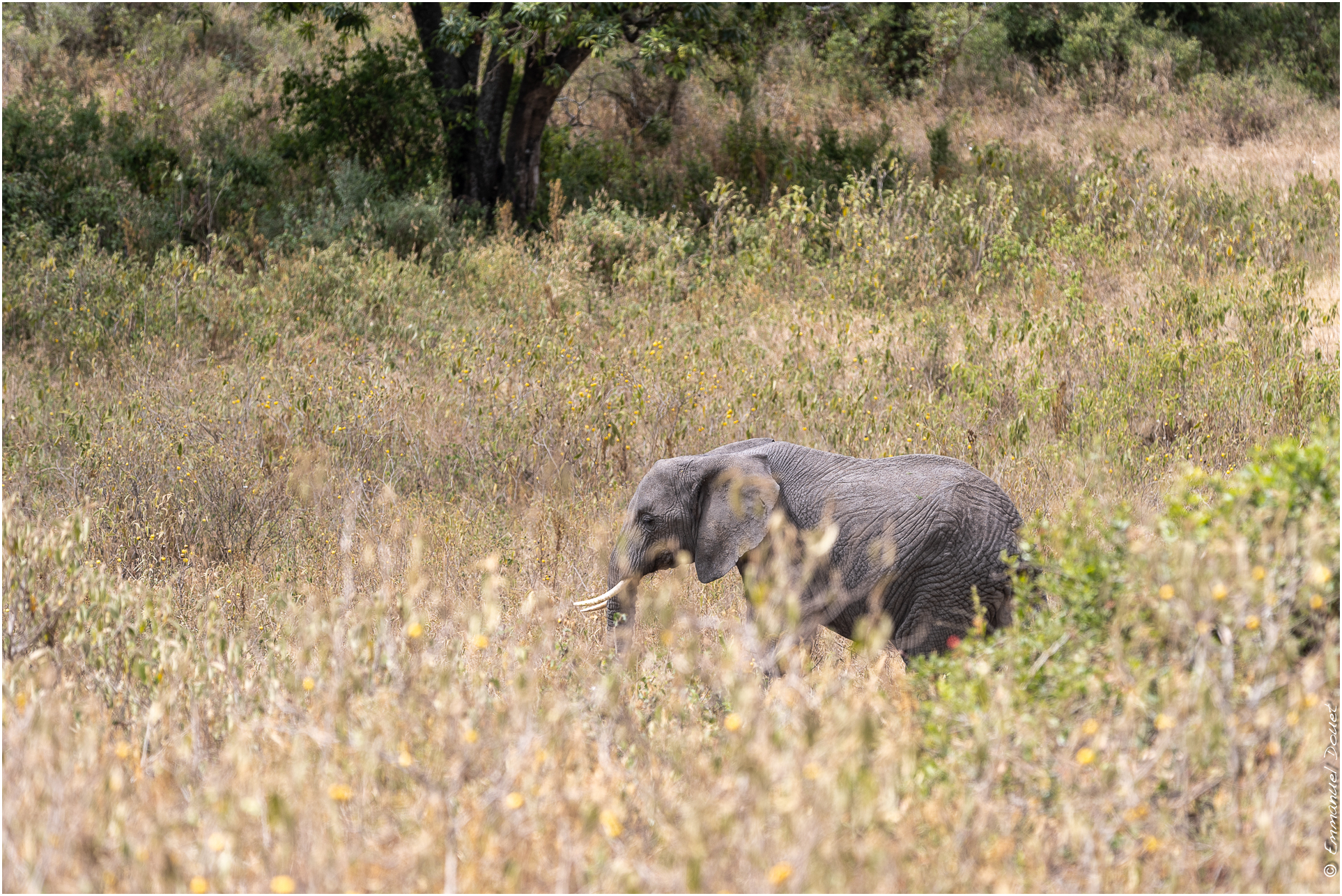 2022 07 Tanzanie 241