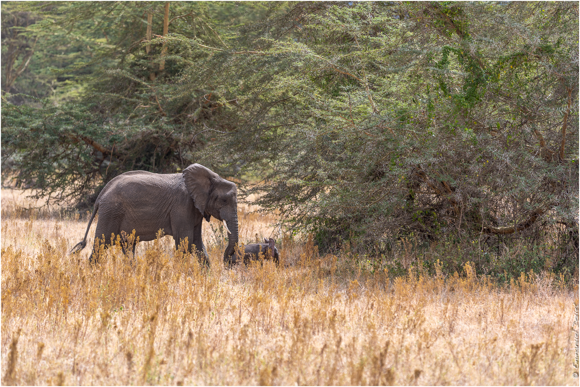 2022 07 Tanzanie 244