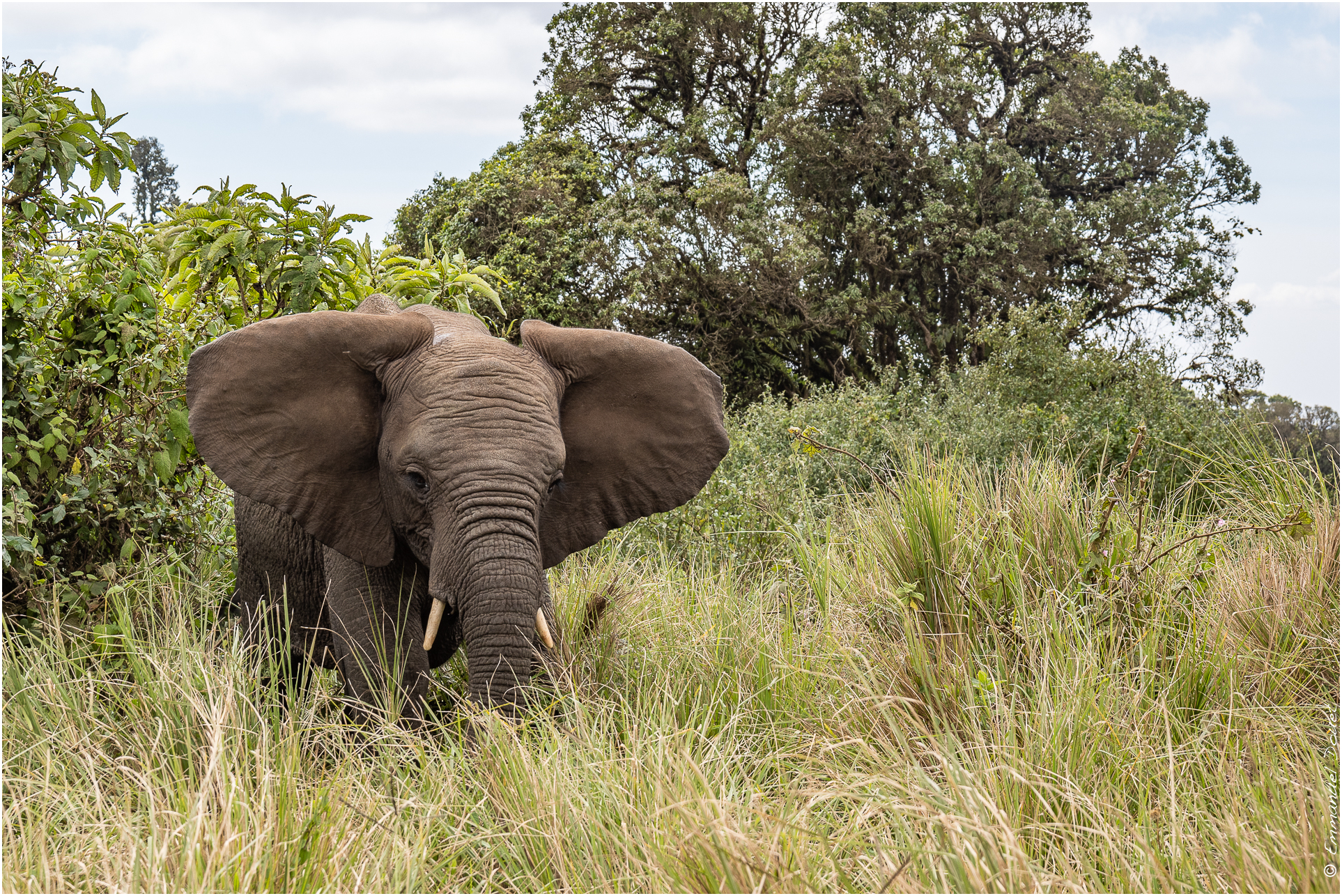 2022 07 Tanzanie 251