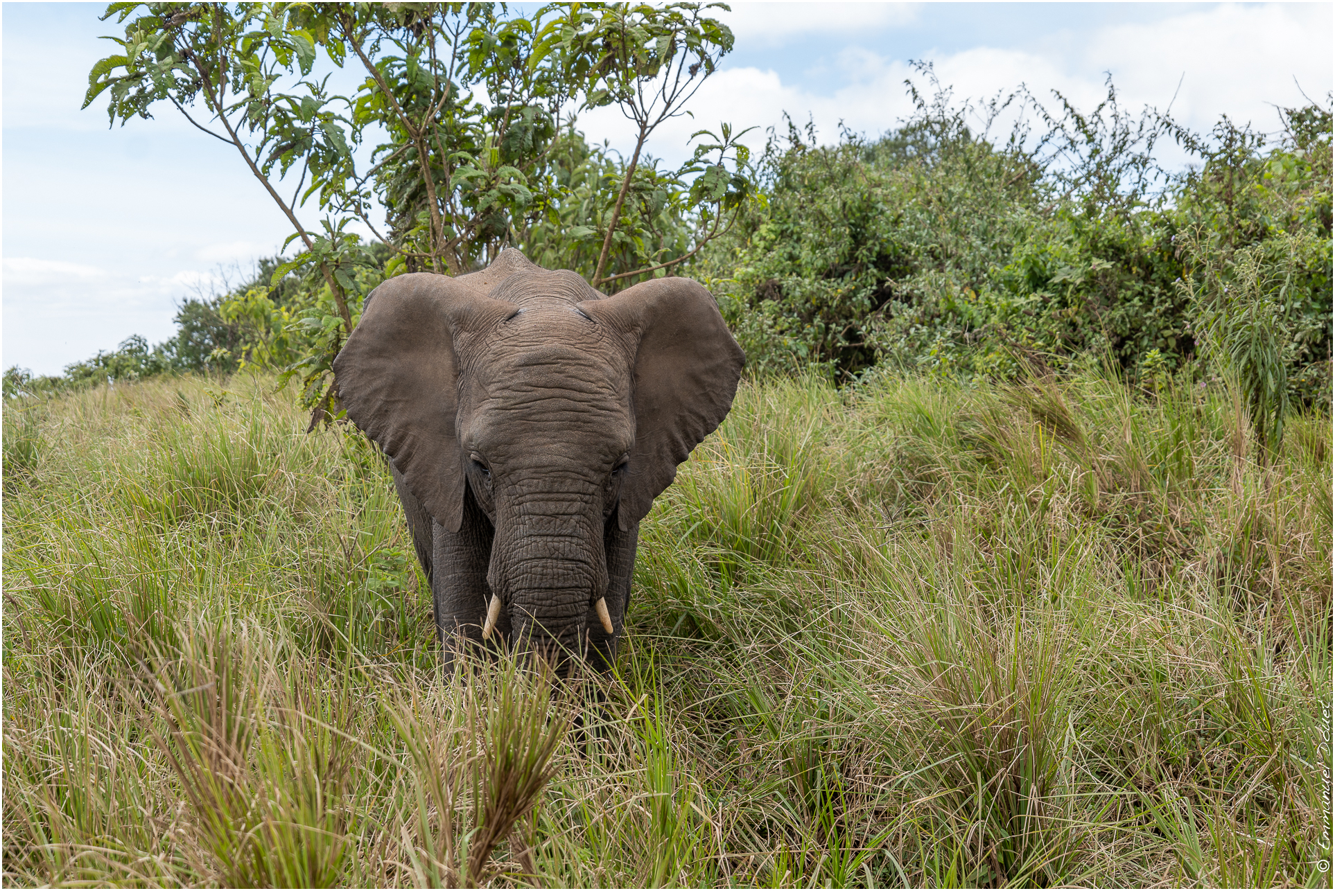 2022 07 Tanzanie 252