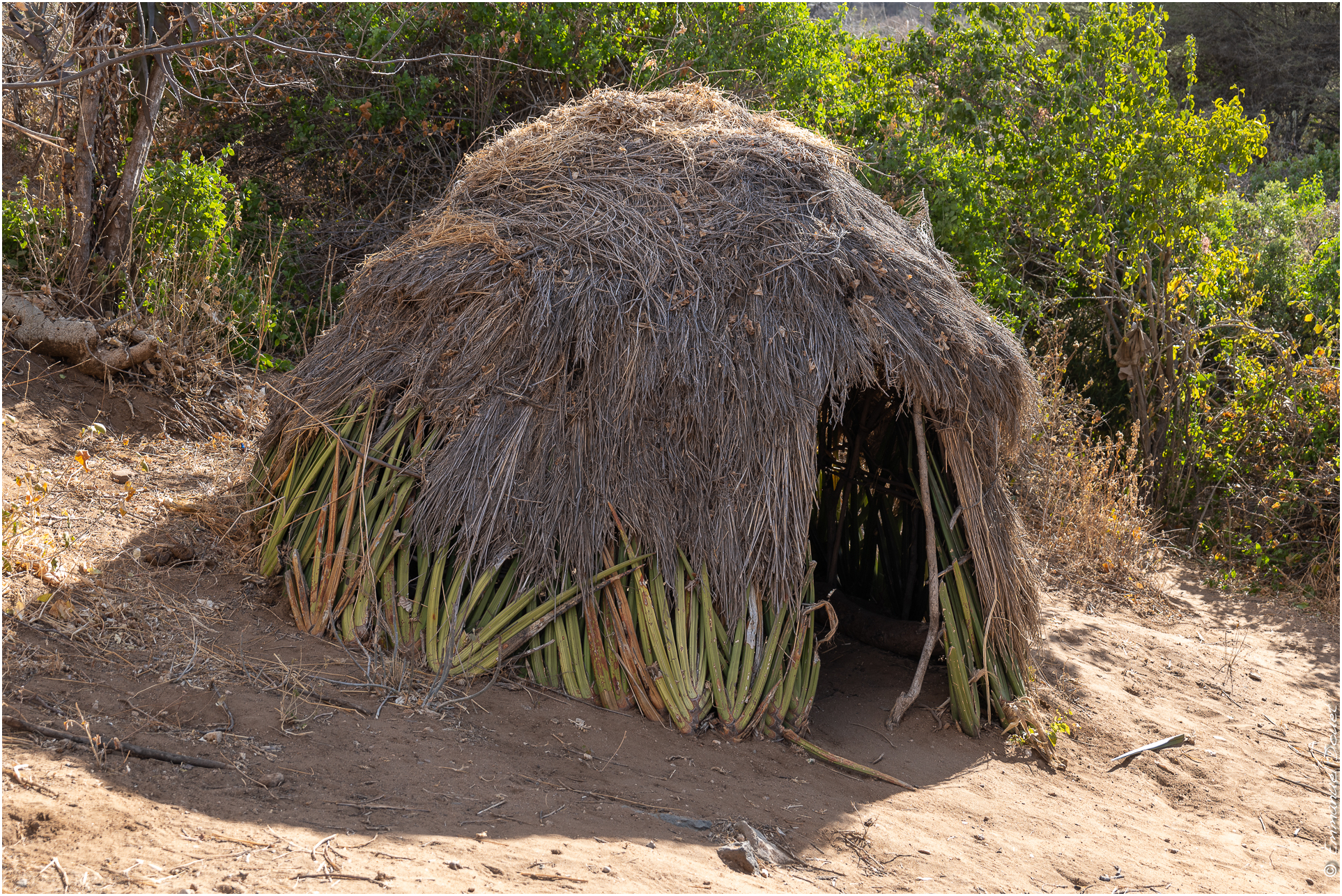 2022 07 Tanzanie 269