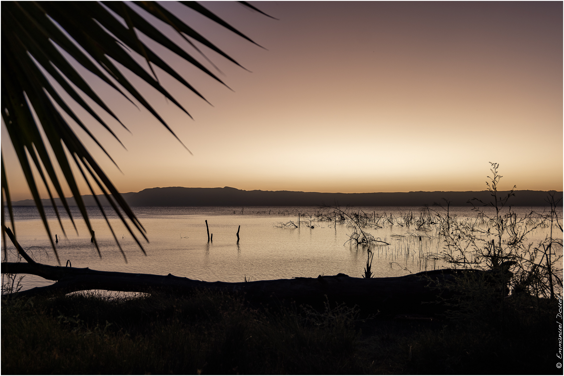 2022 07 Tanzanie 316