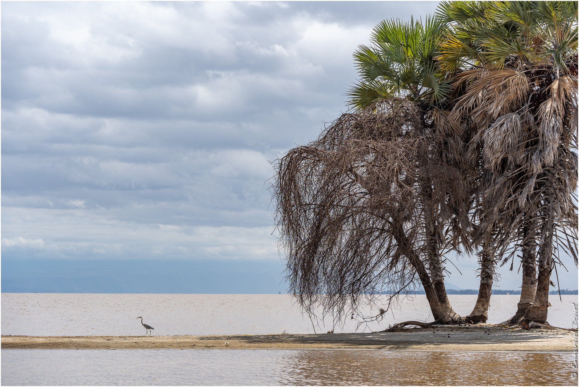 2022 07 Tanzanie 336