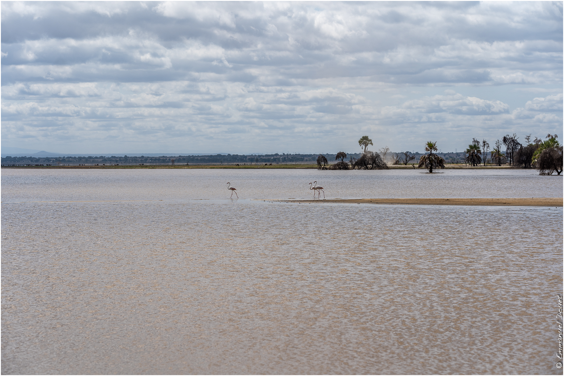 2022 07 Tanzanie 342