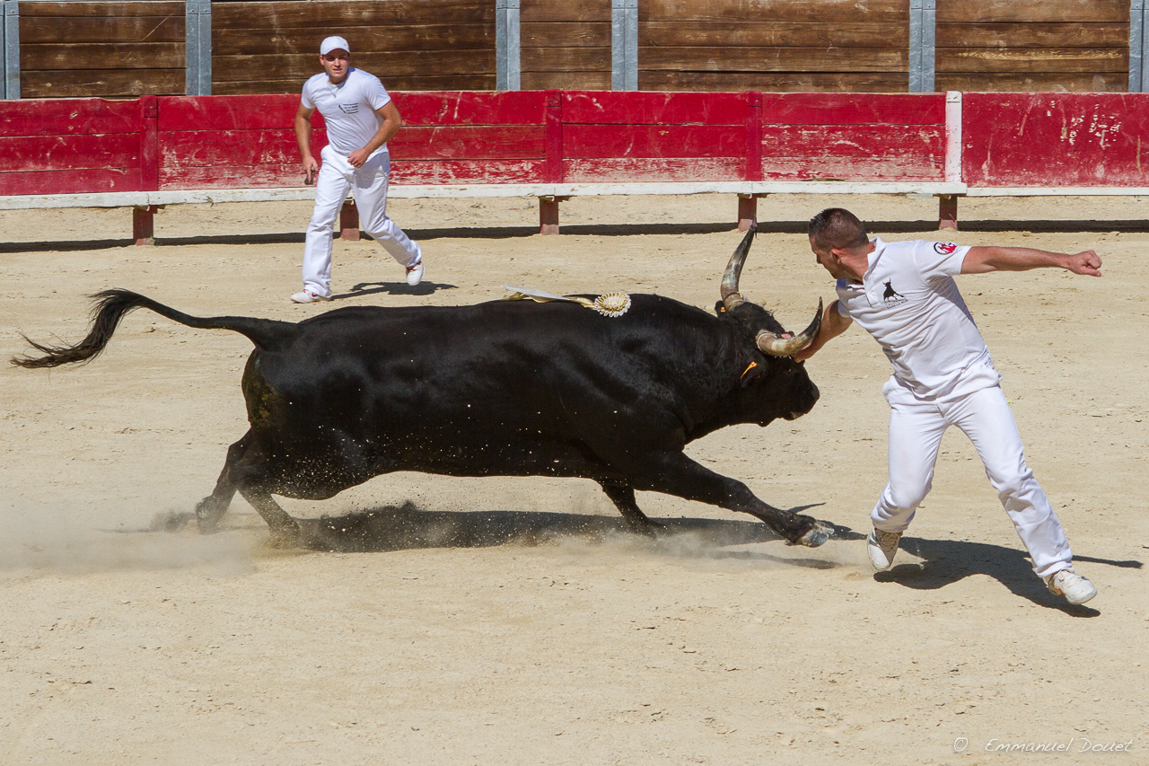 2013 06 Carmargue 754