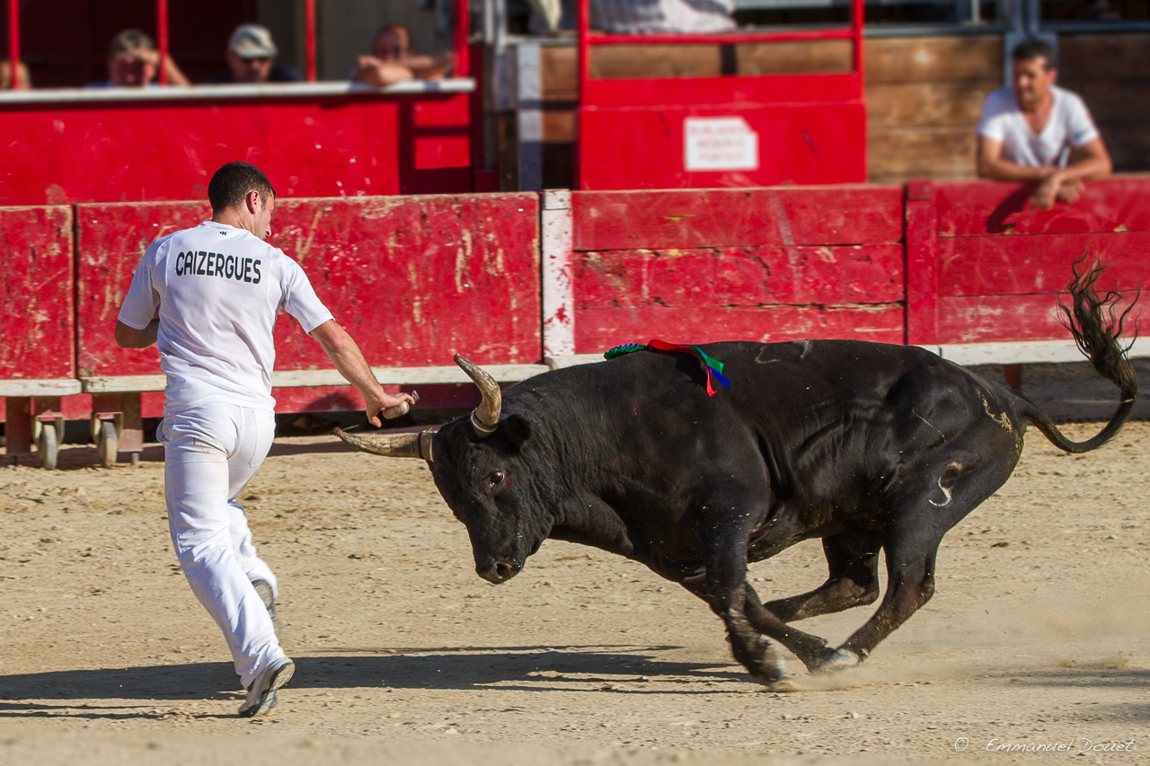 2013 06 Carmargue 931