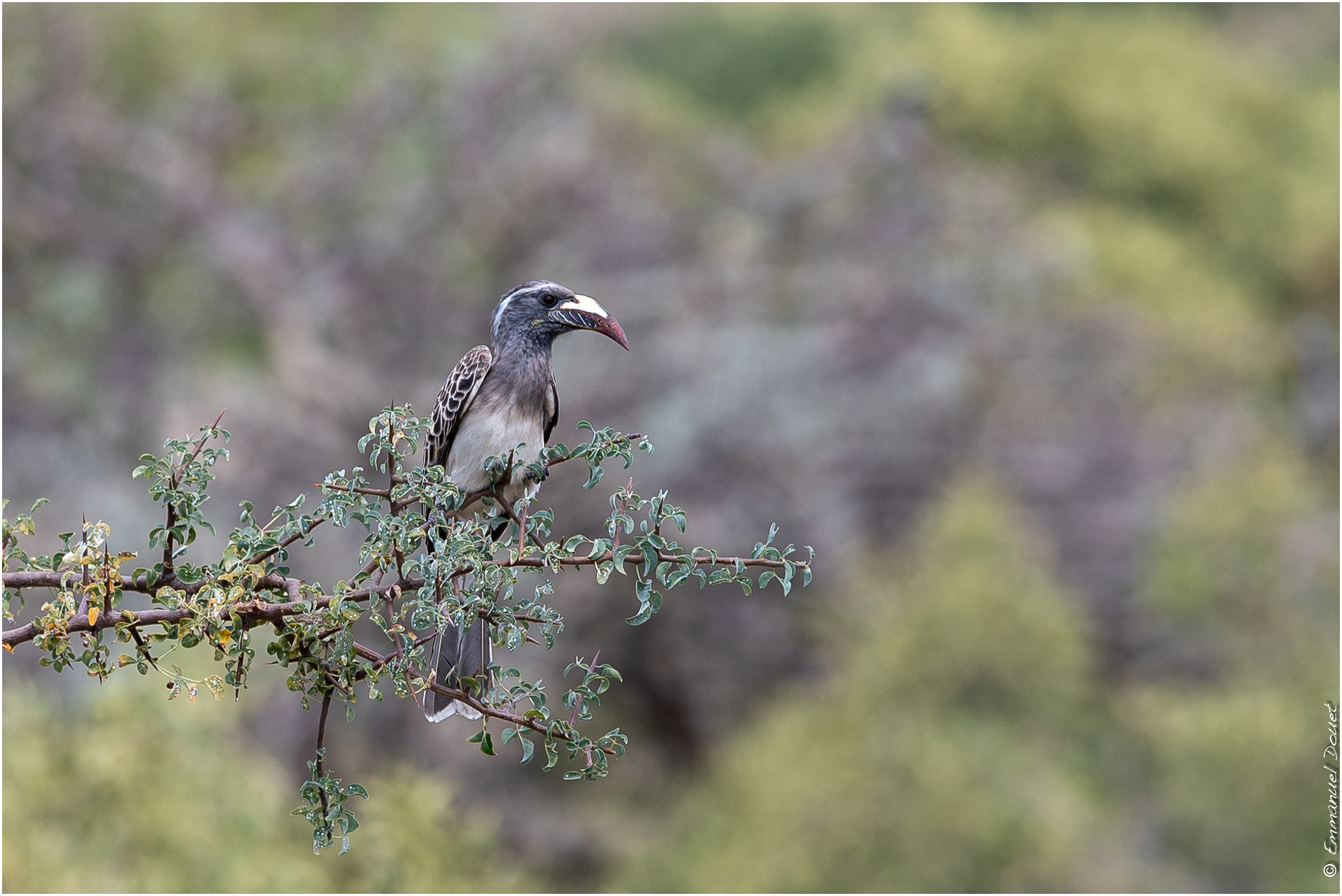 2022 07 Tanzanie 107