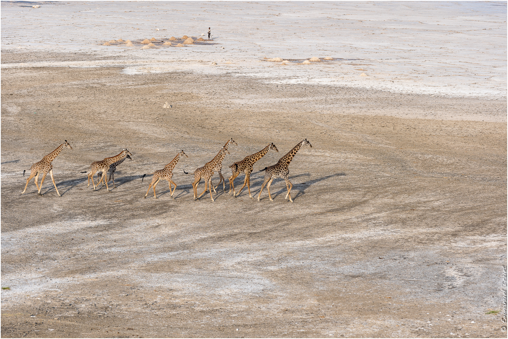 2022 07 Tanzanie 136