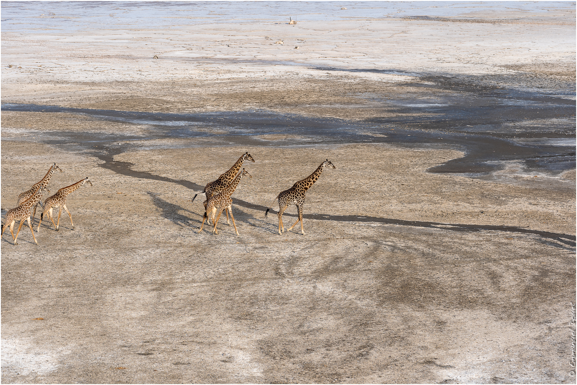 2022 07 Tanzanie 138