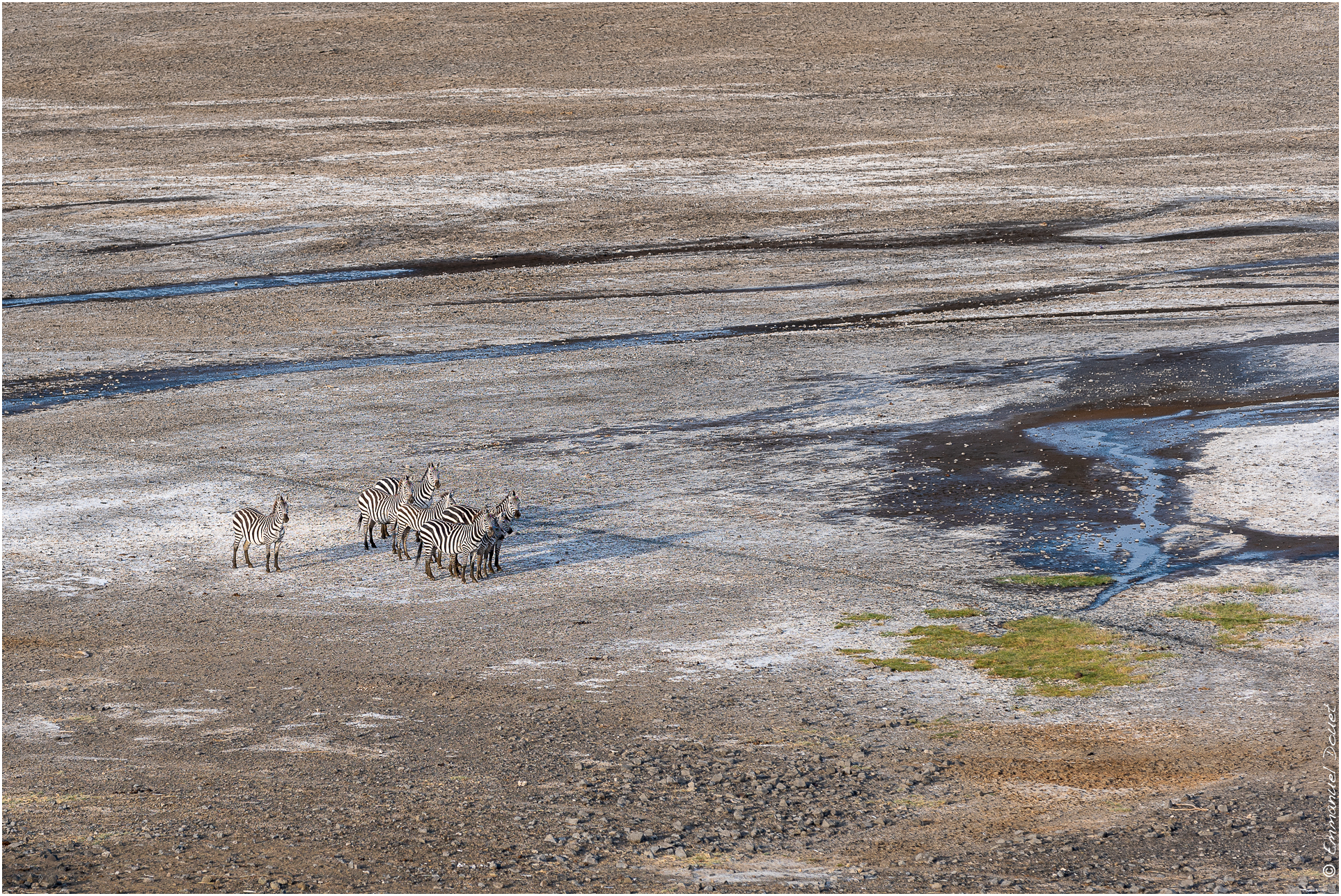 2022 07 Tanzanie 143