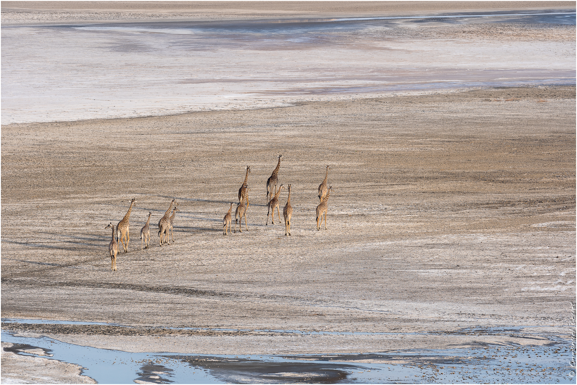 2022 07 Tanzanie 149