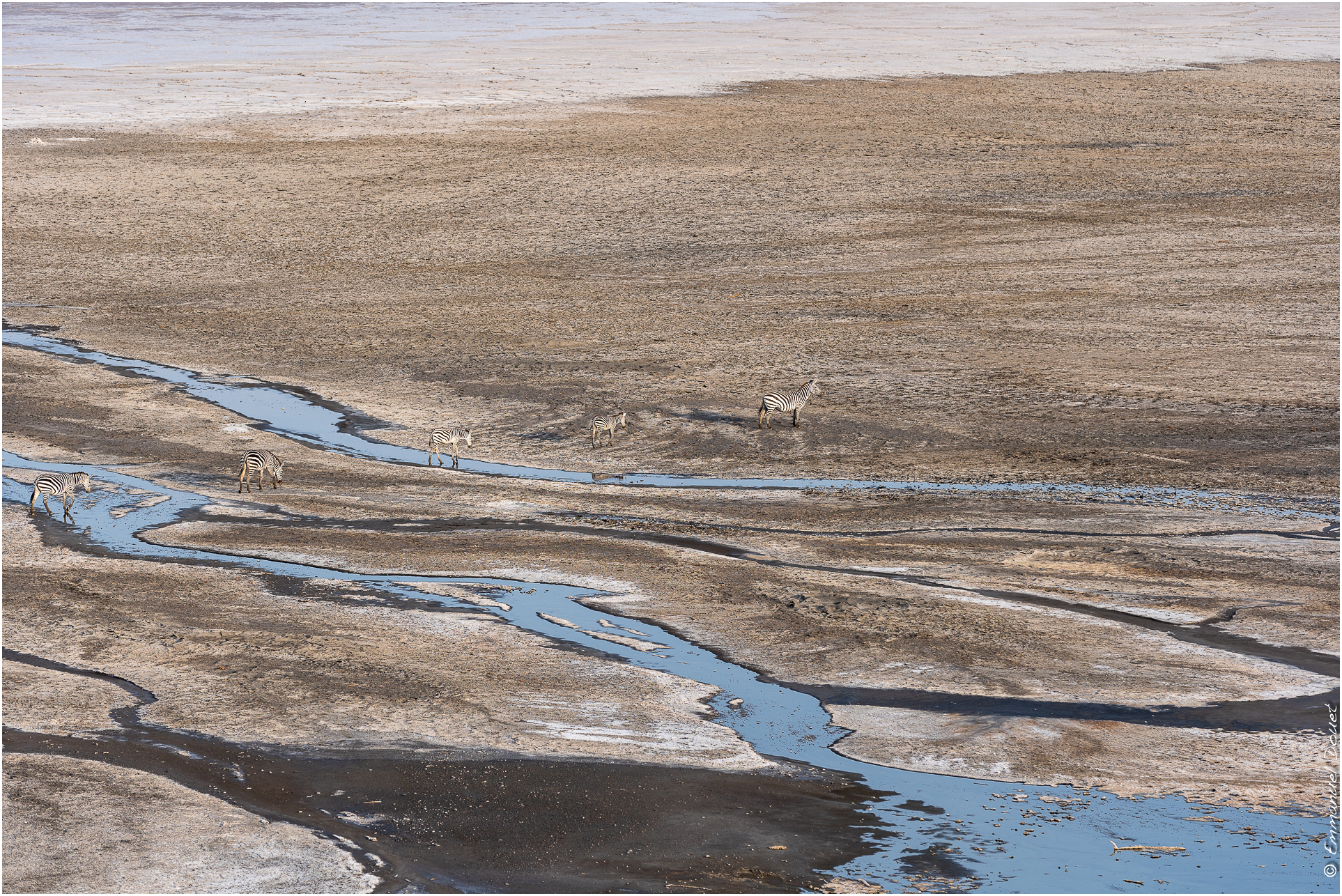 2022 07 Tanzanie 153