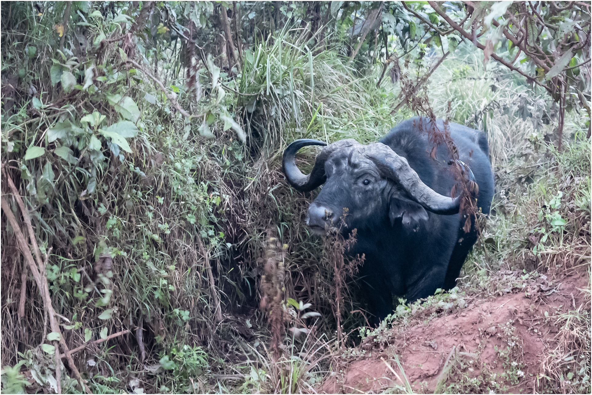 2022 07 Tanzanie 170