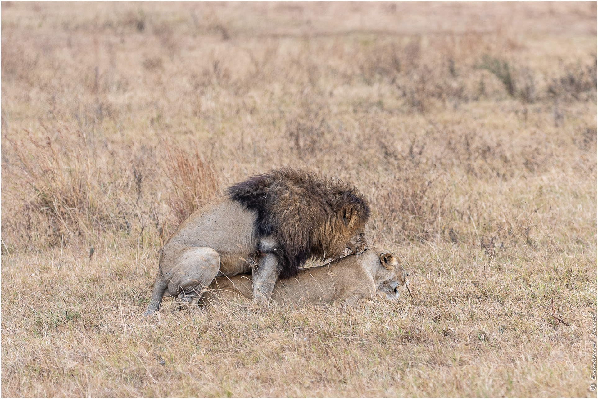 2022 07 Tanzanie 211