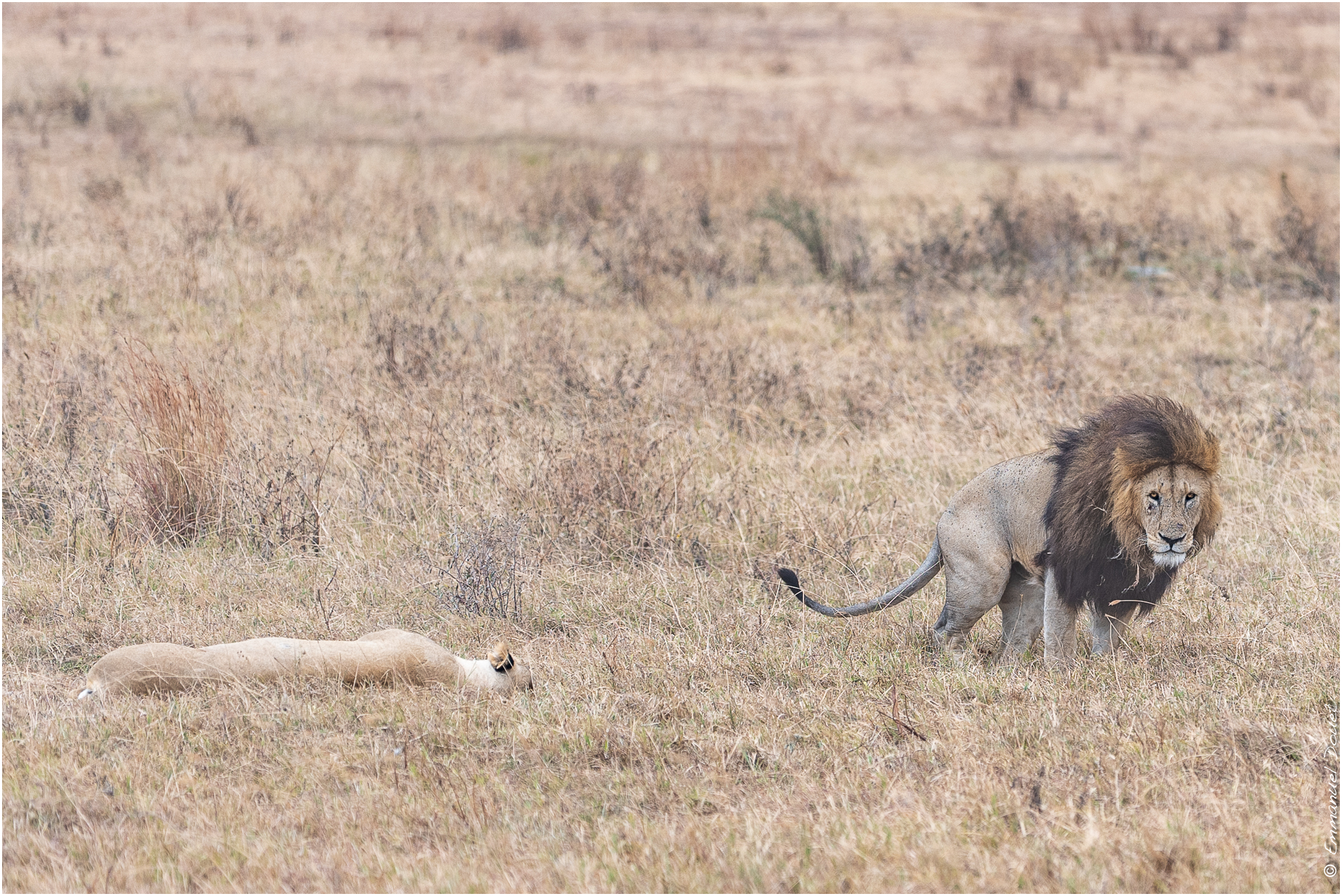 2022 07 Tanzanie 219