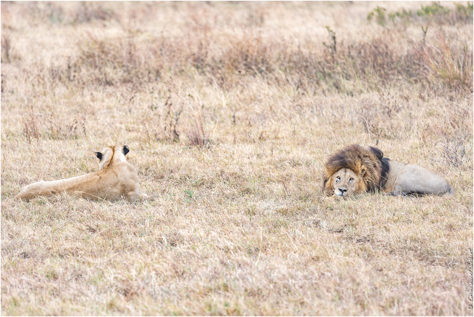 2022 07 Tanzanie 221