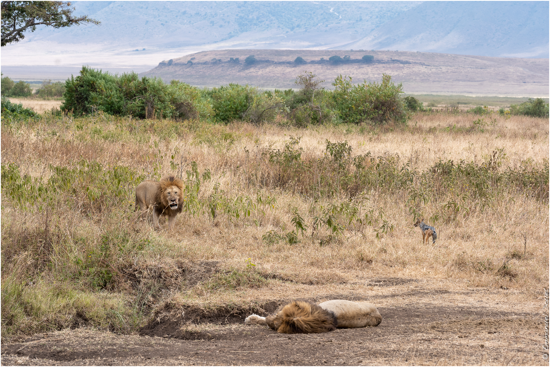 2022 07 Tanzanie 233