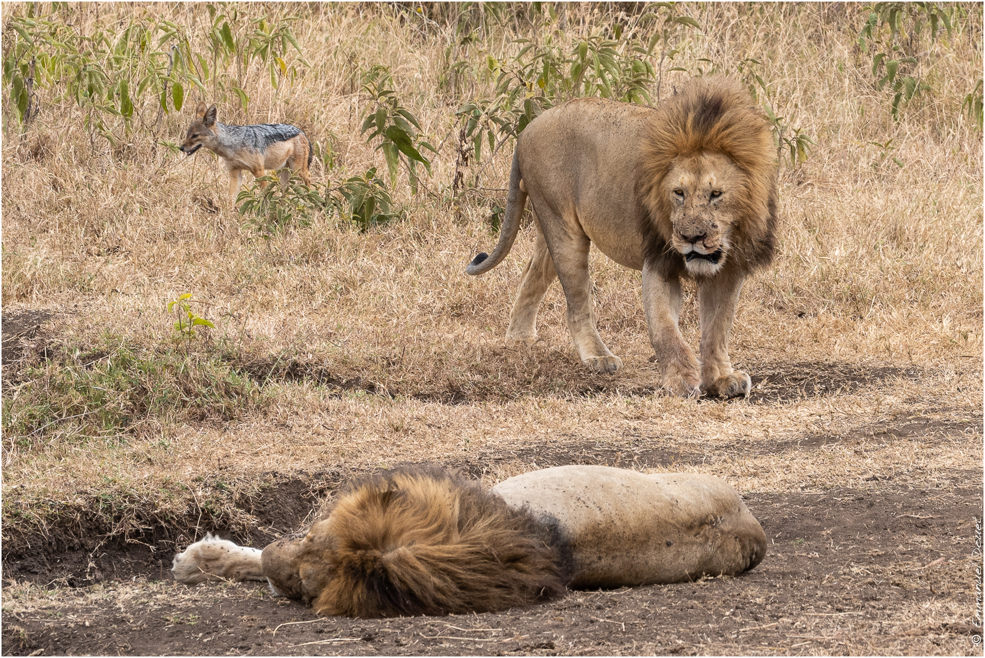 2022 07 Tanzanie 235