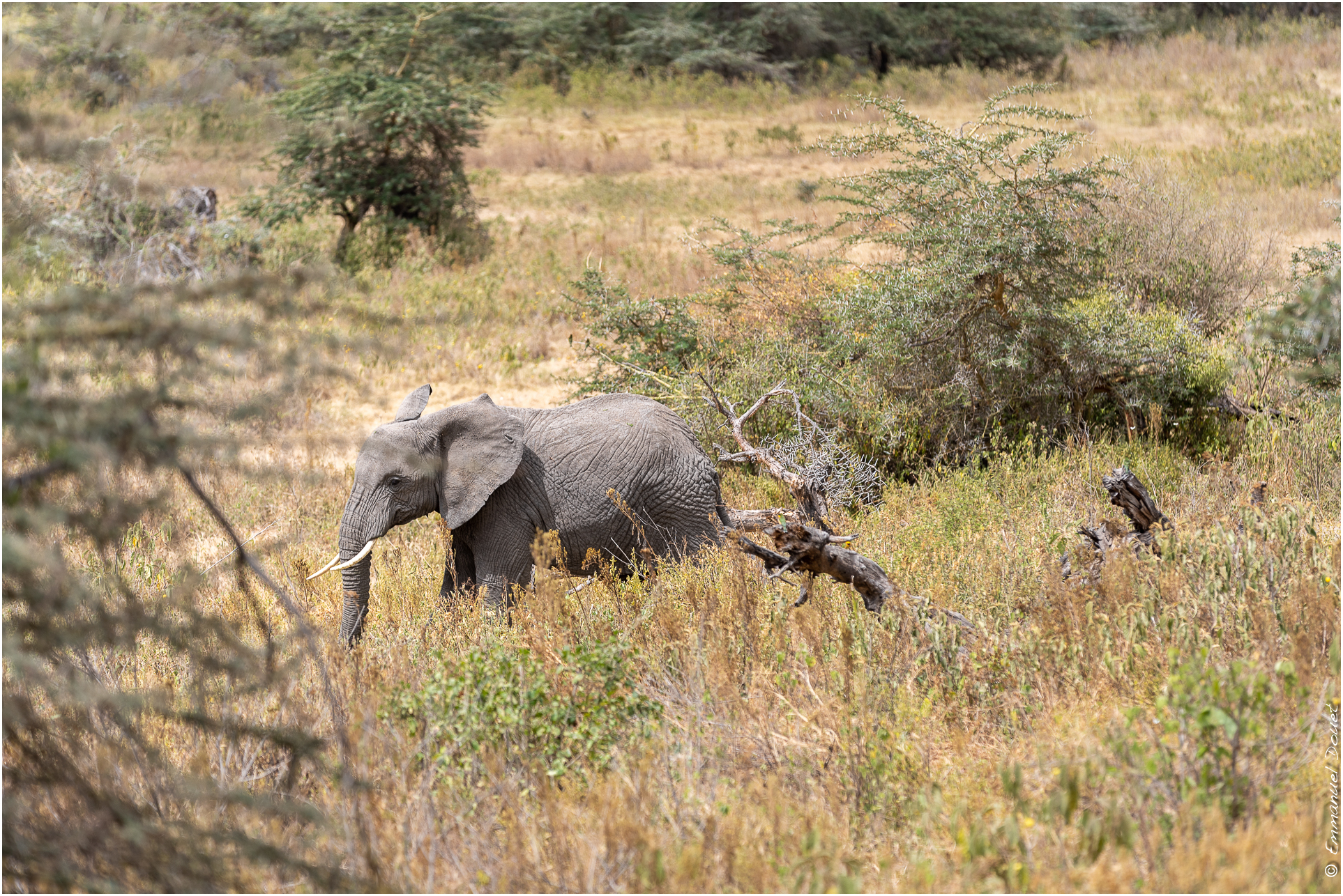 2022 07 Tanzanie 240