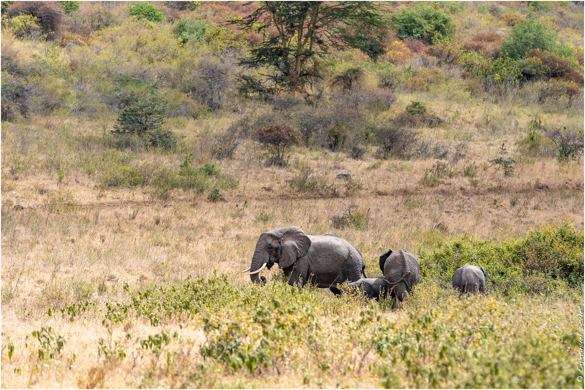 2022 07 Tanzanie 246