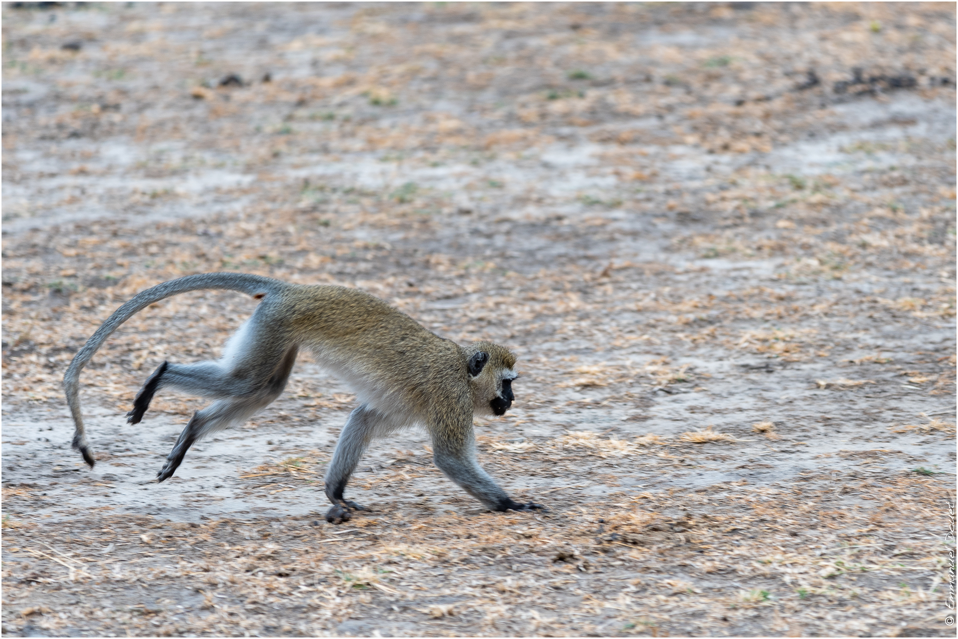 2022 07 Tanzanie 327