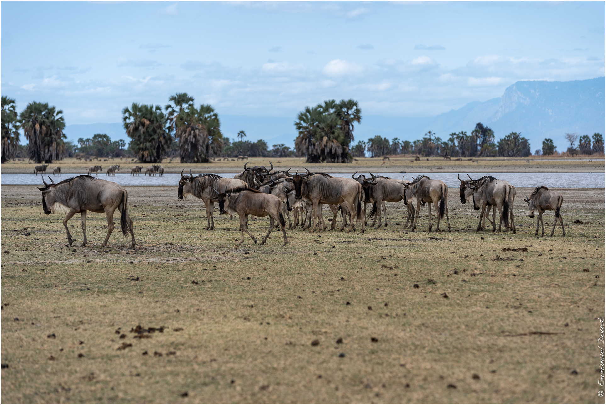 2022 07 Tanzanie 332