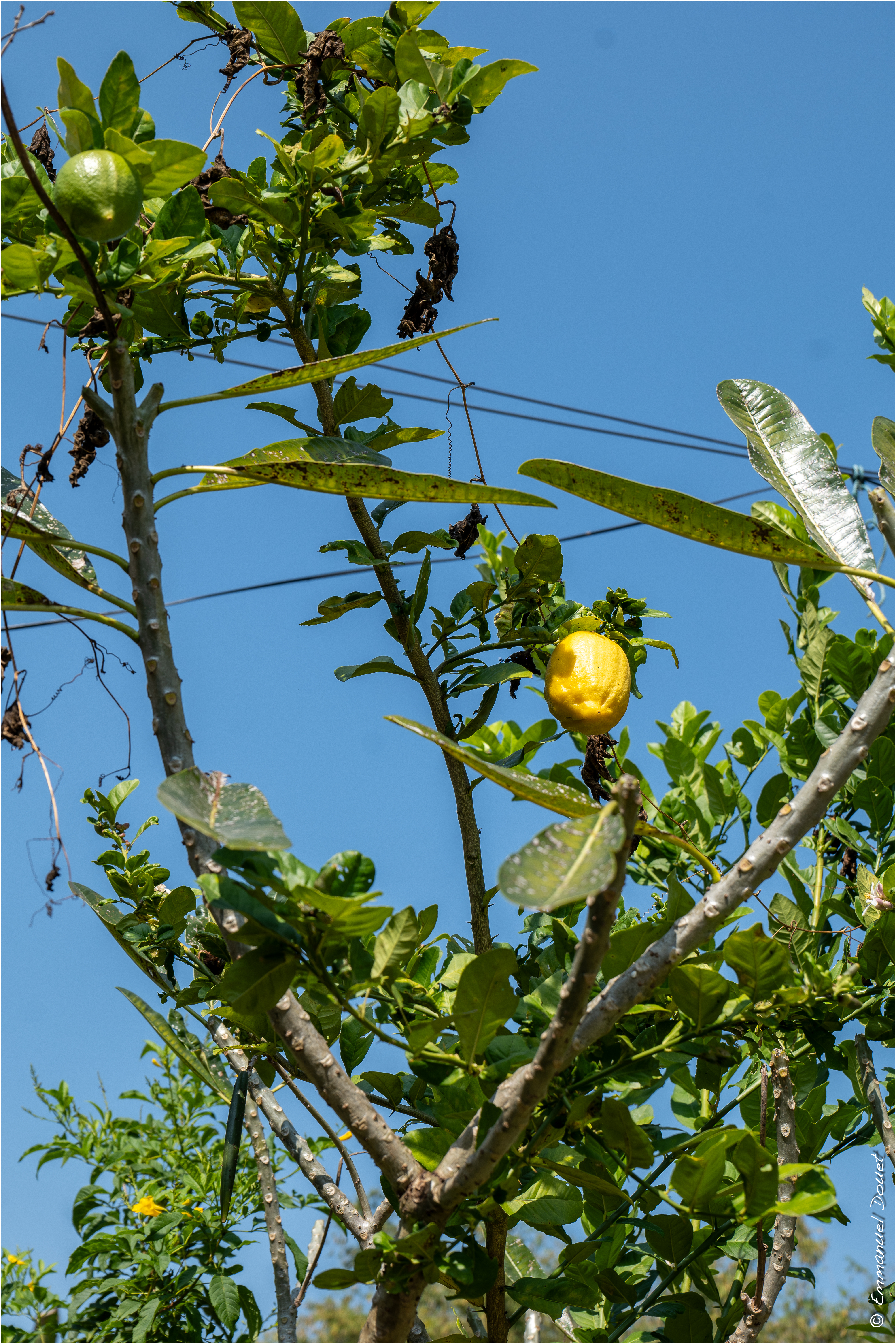 2025 02 Thaïlande&Laos 115